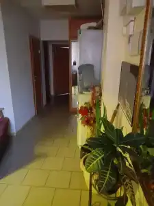 Новый - 12