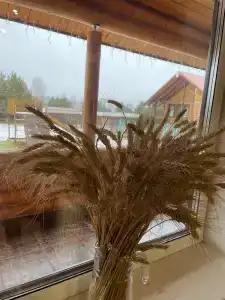 Guest house Gridino Village - 45