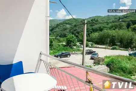 Эдельвейс - 25