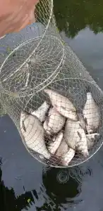 База Путеец - 78