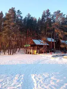 Борвиха - 100