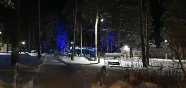 Рубин - 100