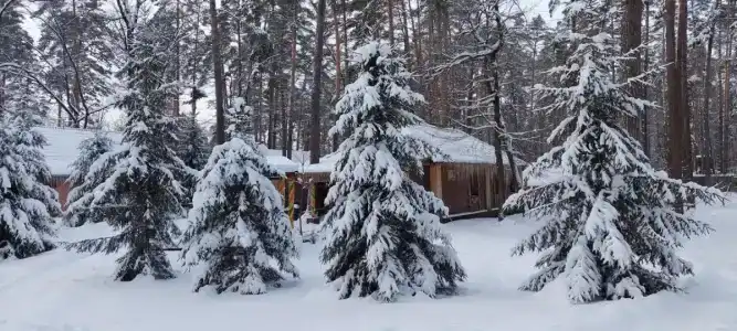 Лесная сказка - 28