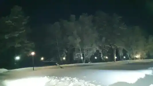 Лесной отель Берендей - 1