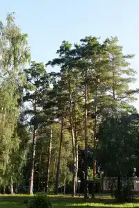 Дзержинец - 16