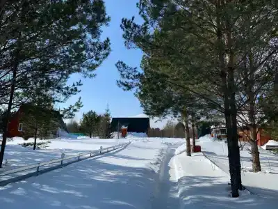 Снегирёвская усадьба - 41