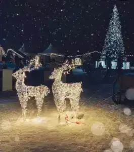 Загородный Курорт MillCreek - 24