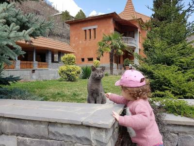 Palma Guest House - 3