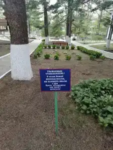 Приморье - 90