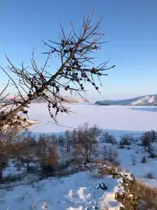 Эльдорадо - 49