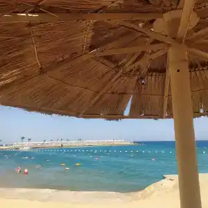 Beach Albatros - - 87