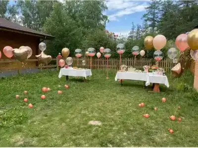 SunCity-Иней - 12