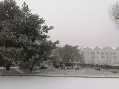 Балтийские пески - 75