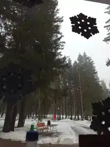 Кристалл - 67