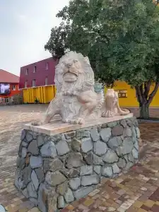 Сафари - 29