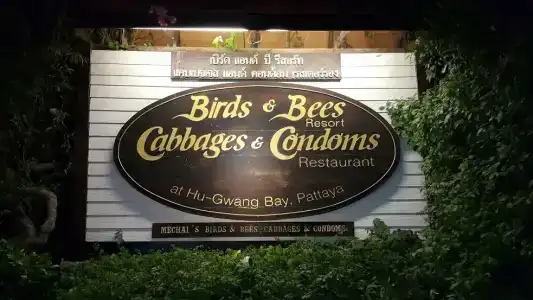 Birds and Bees Resort - 9
