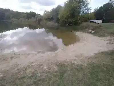 Родное - 46