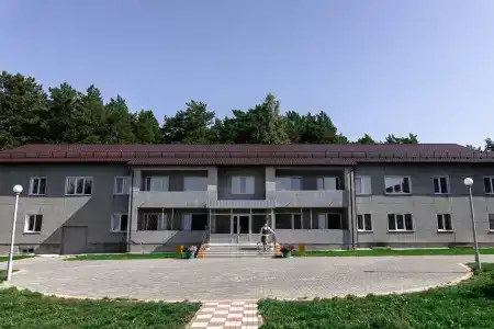 Сосны - 23