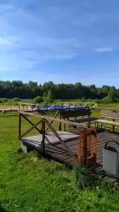 Медведица - 81