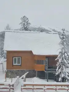 Сердце Сибири - 38