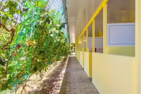 АзовХолидей - 20