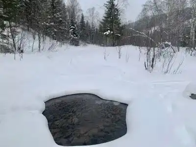 Искушта Хаятт - 37
