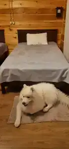 Притяжение - 9
