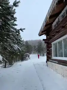 Медвежий угол - 40