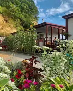 Розовый двор - 1