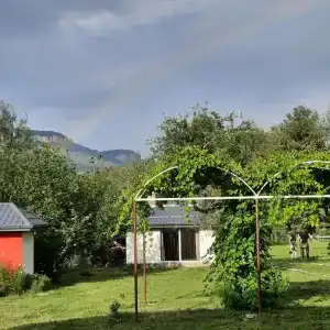 Ореховая роща - 44