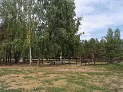 Русский берег - 50