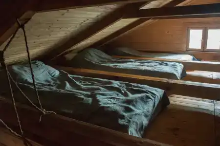 ГаммаСофт - 29