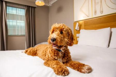 ibis Styles Birmingham Centre - 17