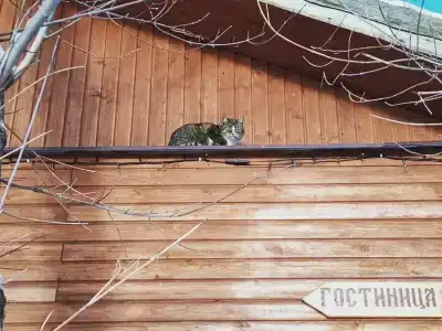 Знаменская Богатырская Застава - 91