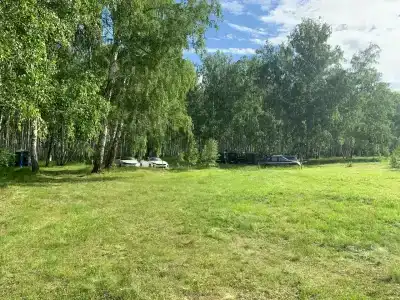 Берёзовый край - 26