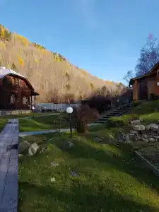 Шумиха - 0