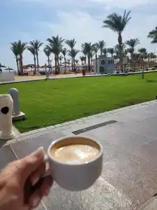 Beach Albatros - - 51