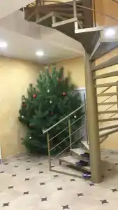 Файвз - 5