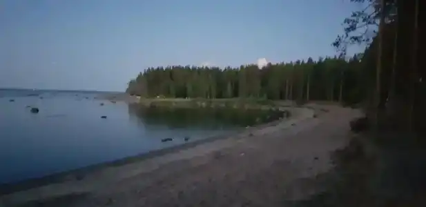 Бухта желтая - 59