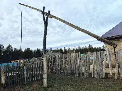 Заповедный - 6