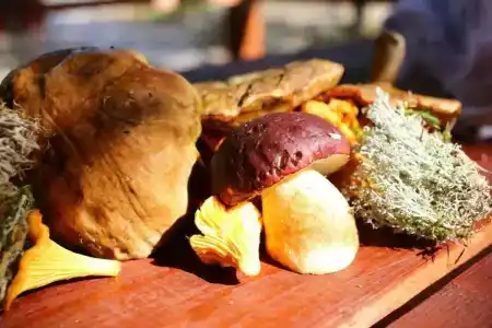 Усадьба на Шамокше - 67