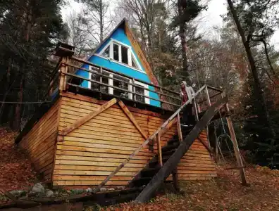 Лесной Кот - 9