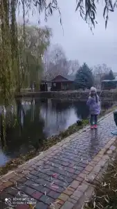 Зеленый Яр - 26