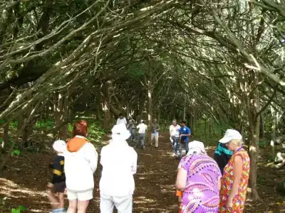 Snitko. camp - 8