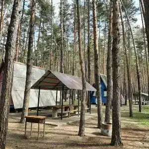 Нежеголь - 0