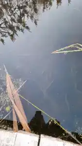 База отдыха у Никитича - 30