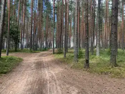 СерфСтанция Волго - 62