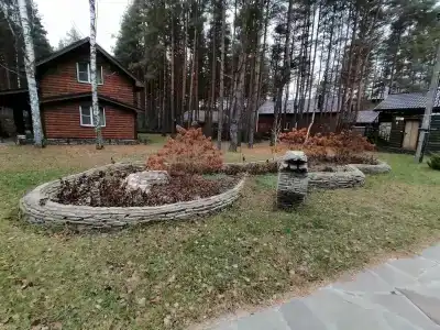 Лесная сказка - 46