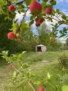 FUNляндия - 3