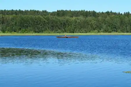 Садху - 39
